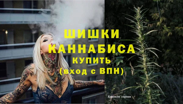 дмт Вязьма