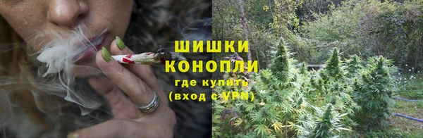 марки nbome Вяземский