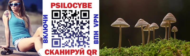 Купить где  Семикаракорск  Псилоцибиновые грибы Psilocybine cubensis 